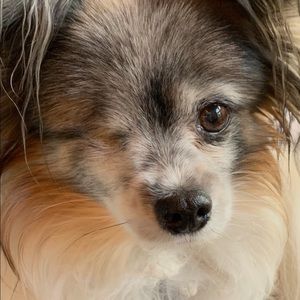 Meet your Posher, Nancy